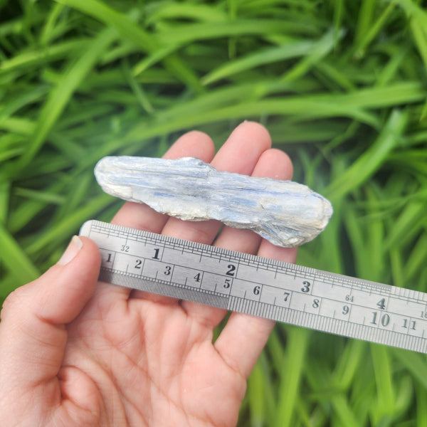 Raw Blue Kyanite Crystal Blade 3"