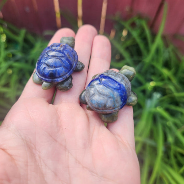 Carved Crystal Turtle Stones