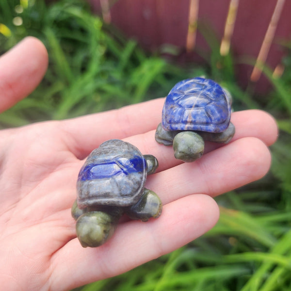 Crystal Turtle Carvings - Sodalite and Lapis Lazuli