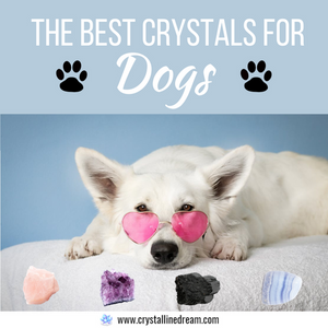 The Best Crystals for Dogs: Healing Stones for Our Furry Friends