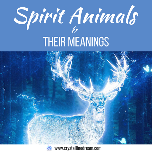 Working with Spirit Animal Totems & Their Meanings