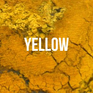 Yellow Crystals