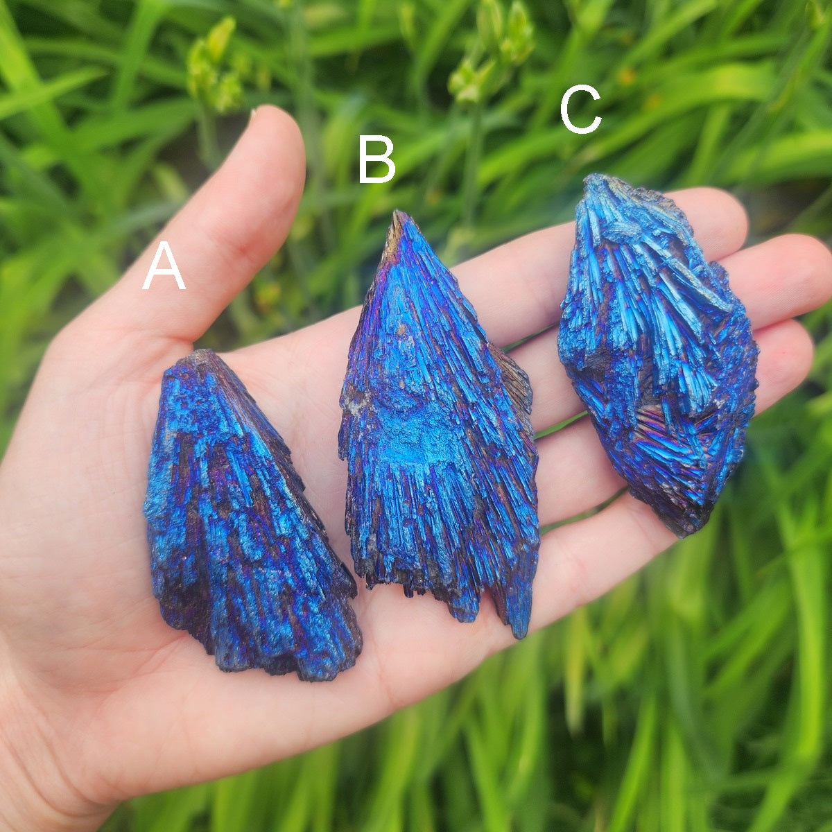 Blue Aura Kyanite Crystal | TitaniumAura Black Kyanite Blade