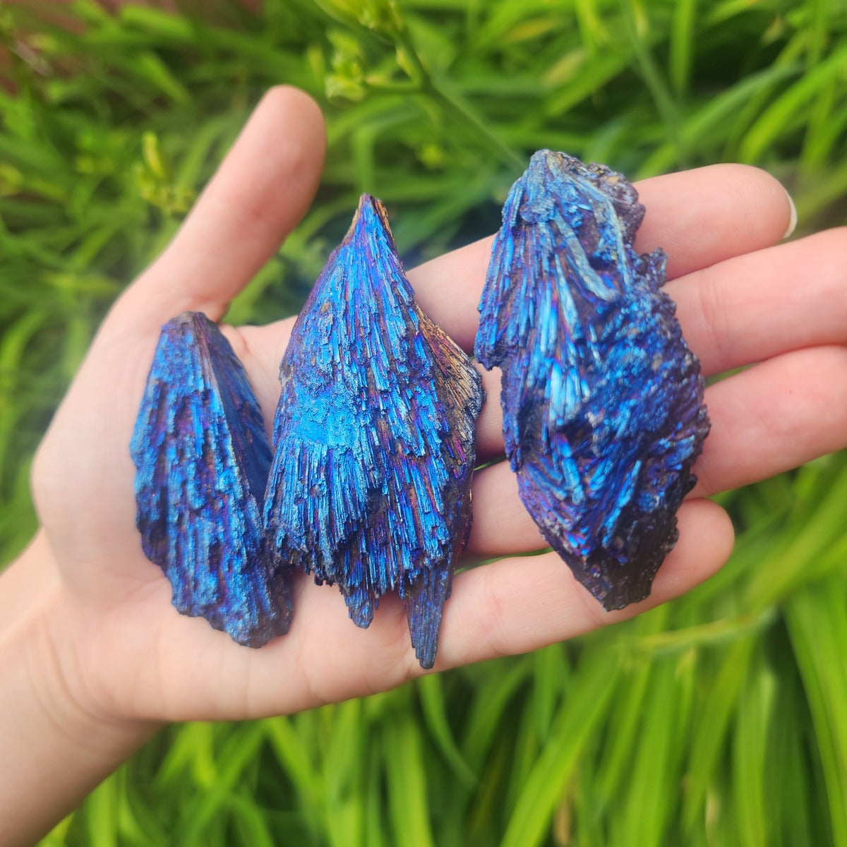 Blue Titanium Rainbow Kyanite Crystal Blades