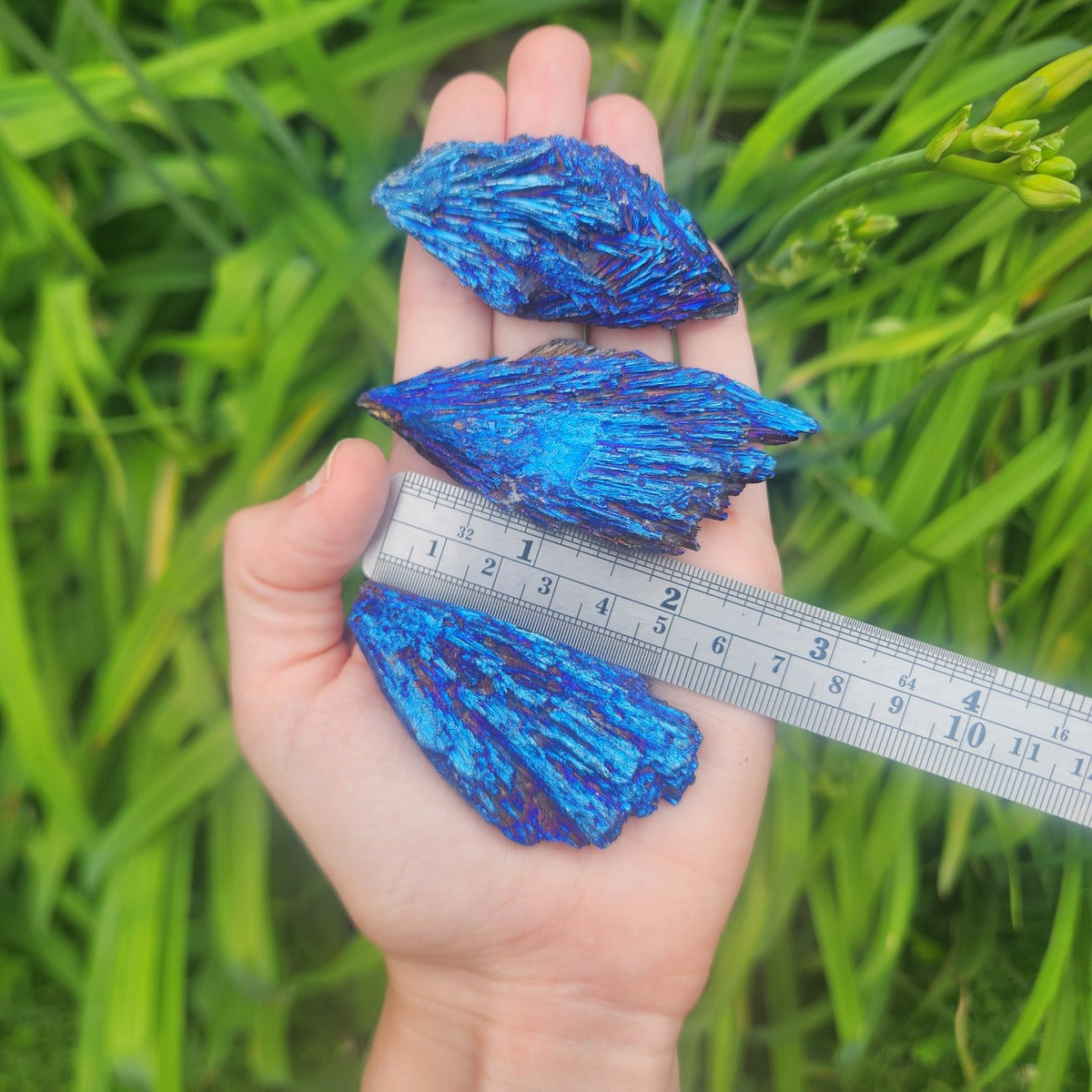 Blue Aura Kyanite Crystal | TitaniumAura Black Kyanite Blade