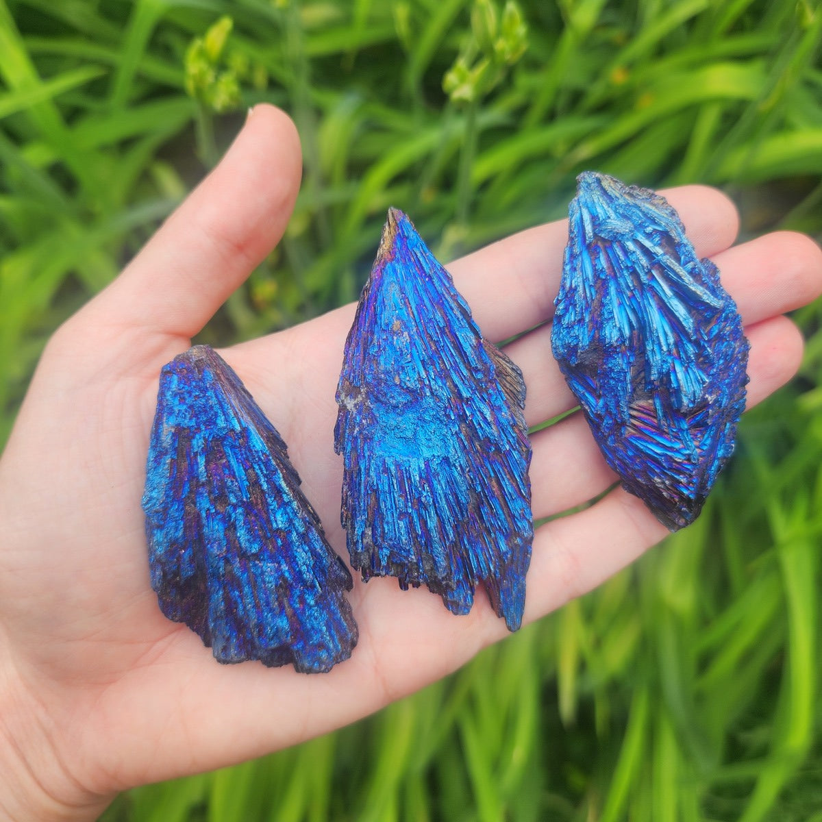 Blue Aura Kyanite Crystal