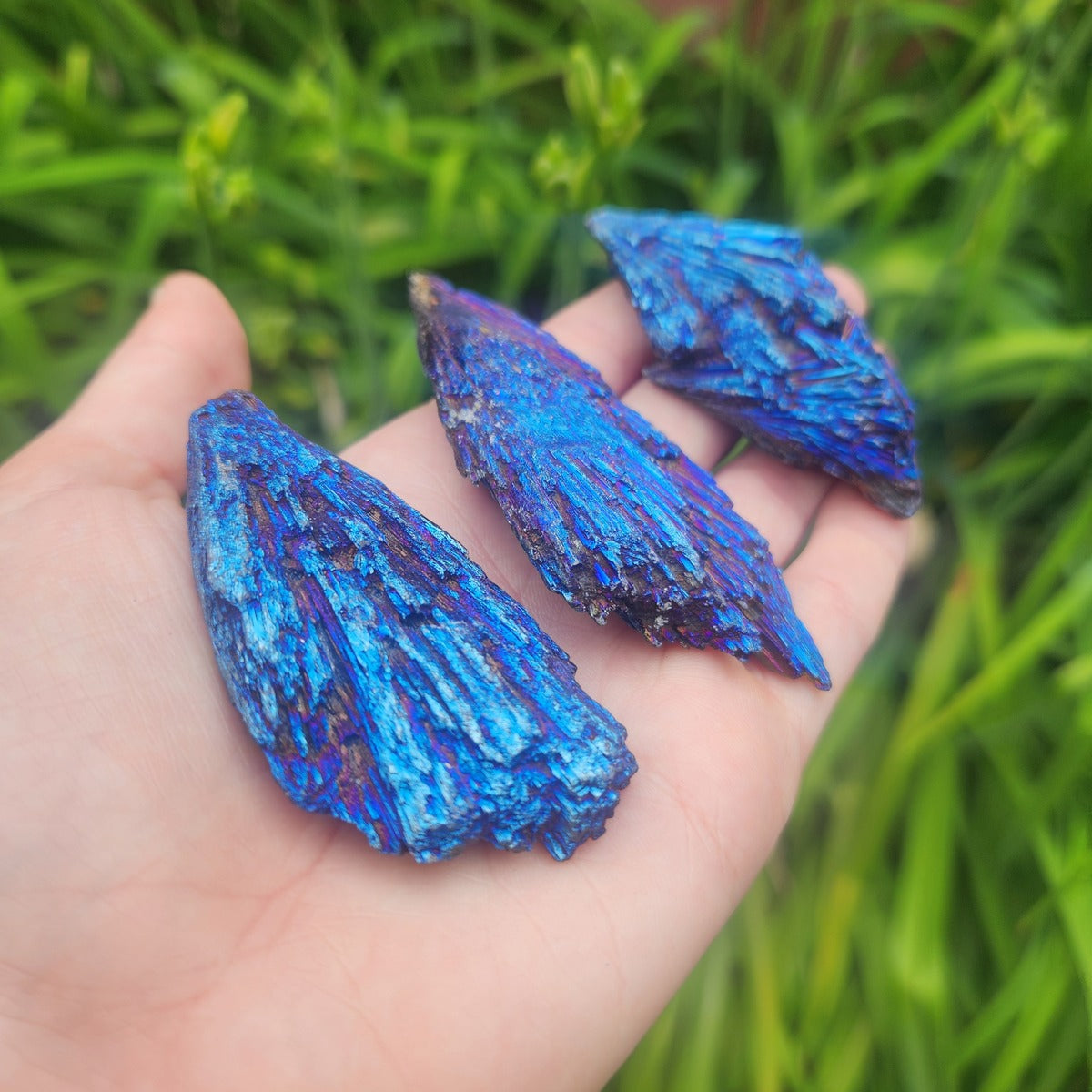 Blue Rainbow Kyanite Crystals