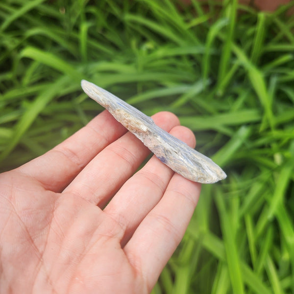 Raw Blue Kyanite Crystal Blade 3"
