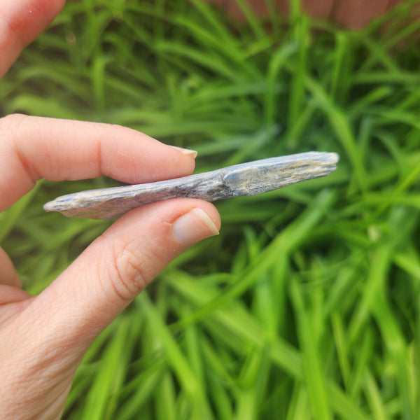 Raw Blue Kyanite Crystal Blade 3"