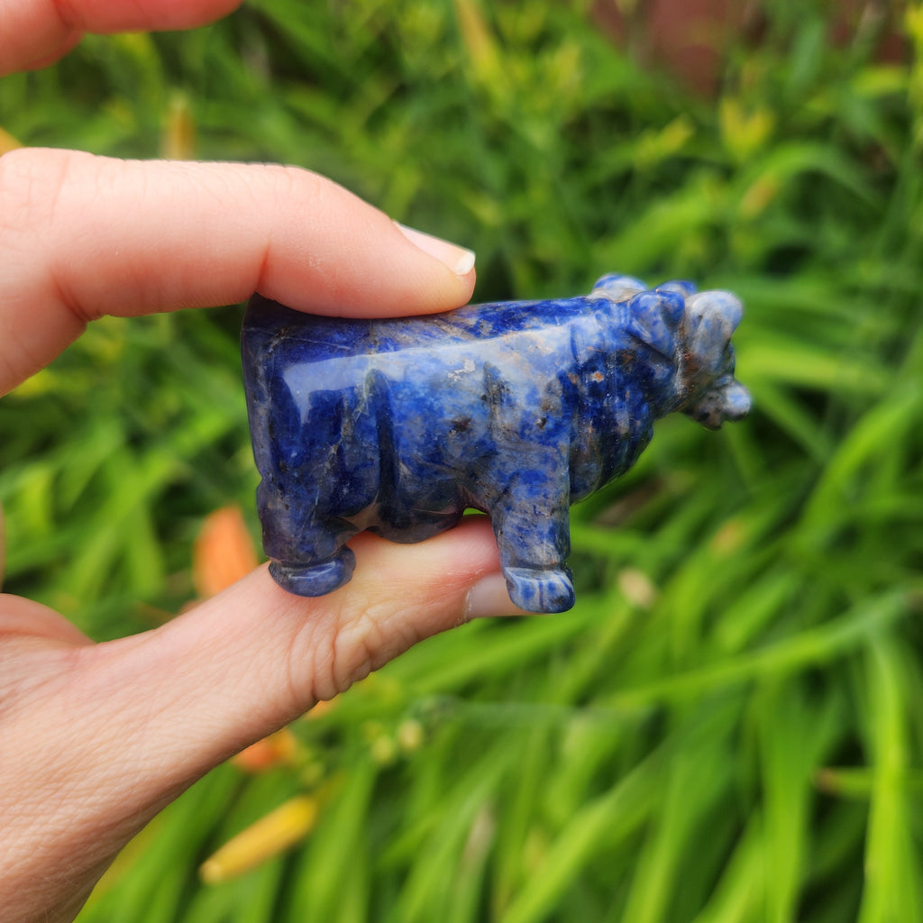 Blue Sodalite Crystal Cow Stone Carving