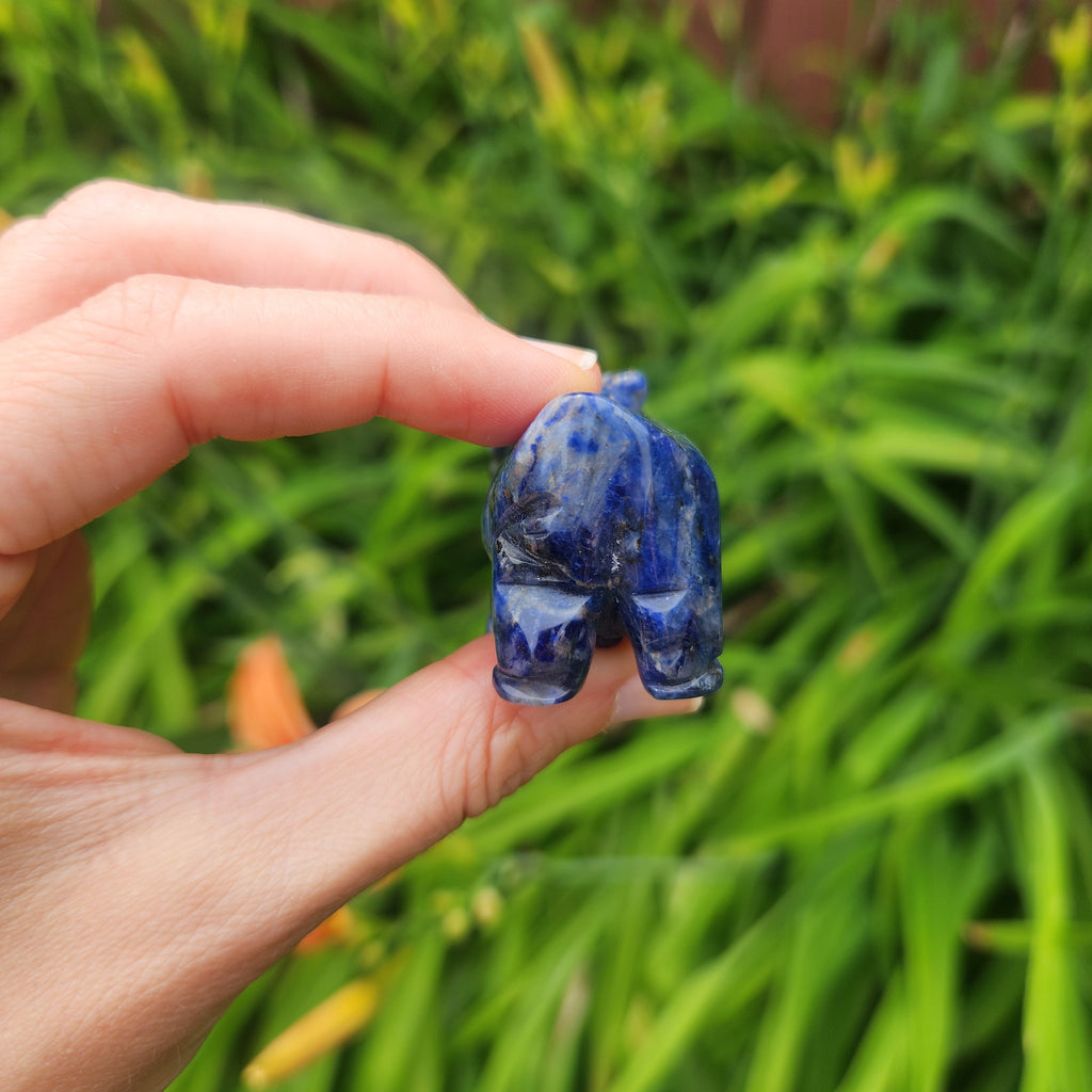Sodalite Crystal Cow Stone Animal