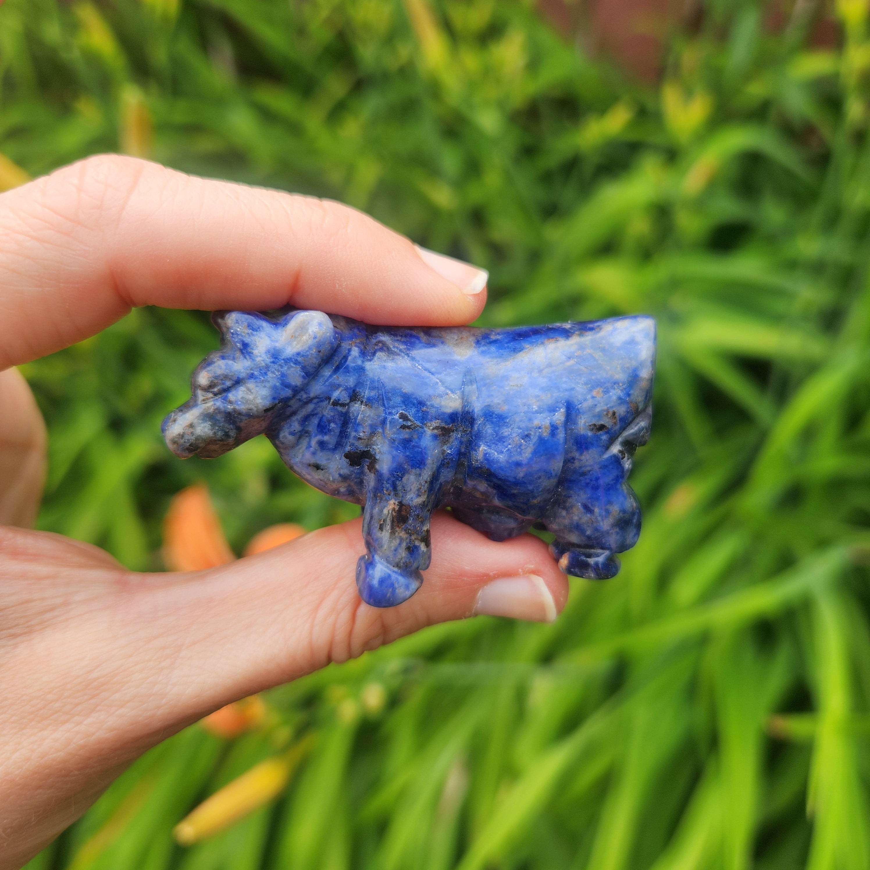 Blue Sodalite Crystal Cow Animal Carving