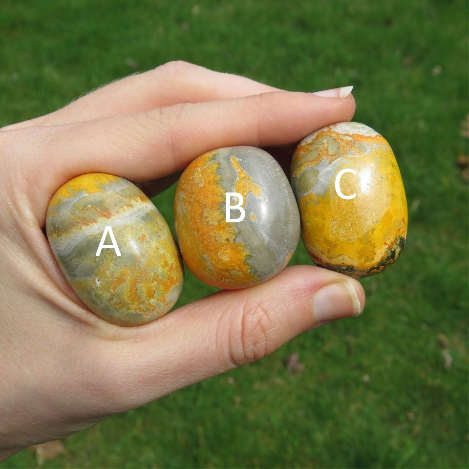 Bumble Bee Jasper Crystal Tumbled Stone 1.25"
