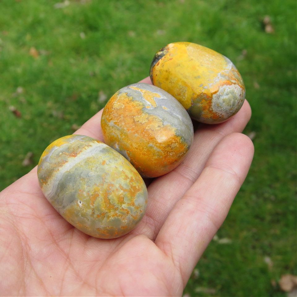 Bumble Bee Jasper Crystal