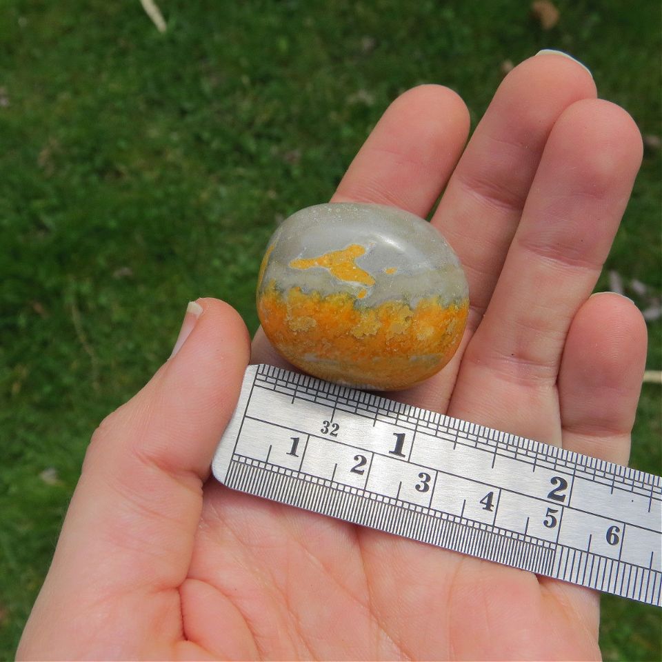 Bumble Bee Jasper Crystal Tumbled Stone 1.25"