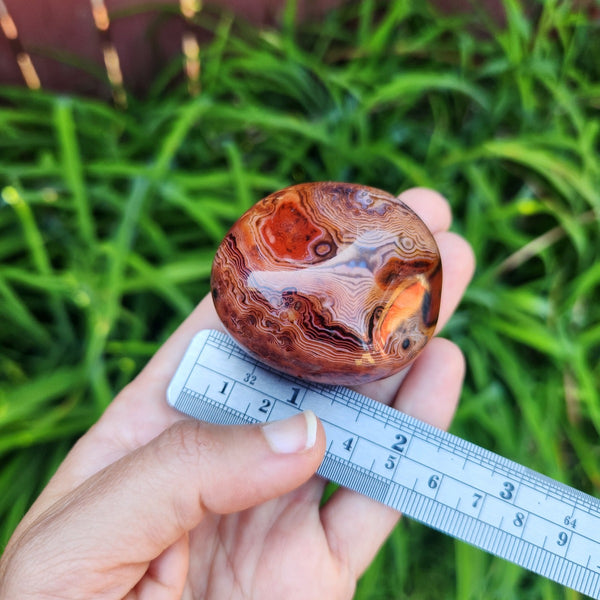 Orange Carnelian Agate Crystal Palm Stone 2"