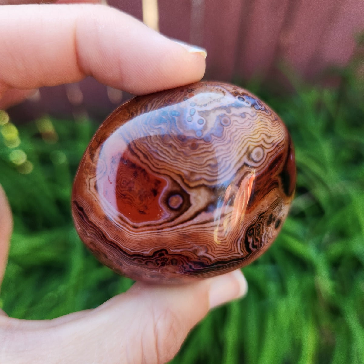 Carnelian Agate Crystal Palm Stone