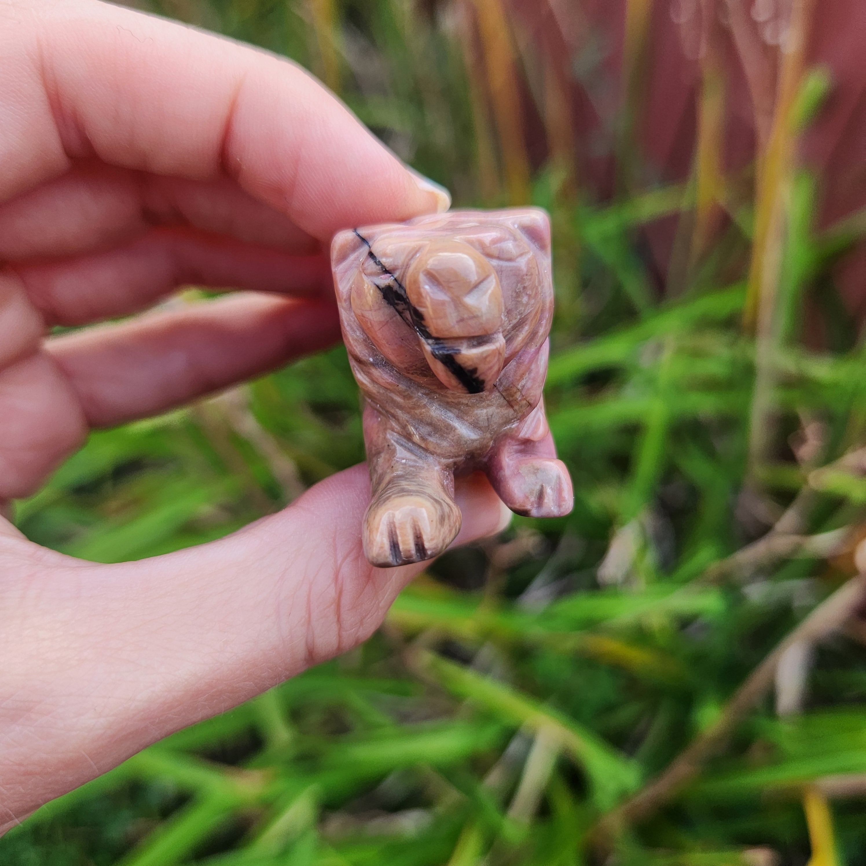 Rhodonite Crystal LIon Stone Animal Carving
