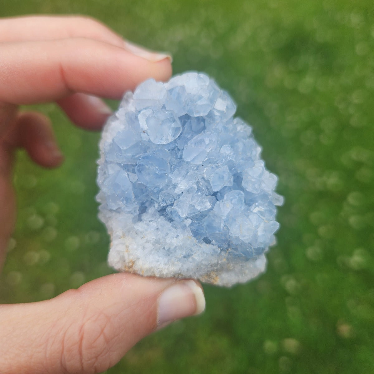 Raw Celestite Crystal Cluster