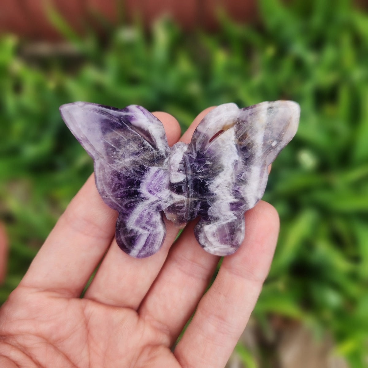 Chevron Dream Amethyst Crystal Butterfly Animal Carving