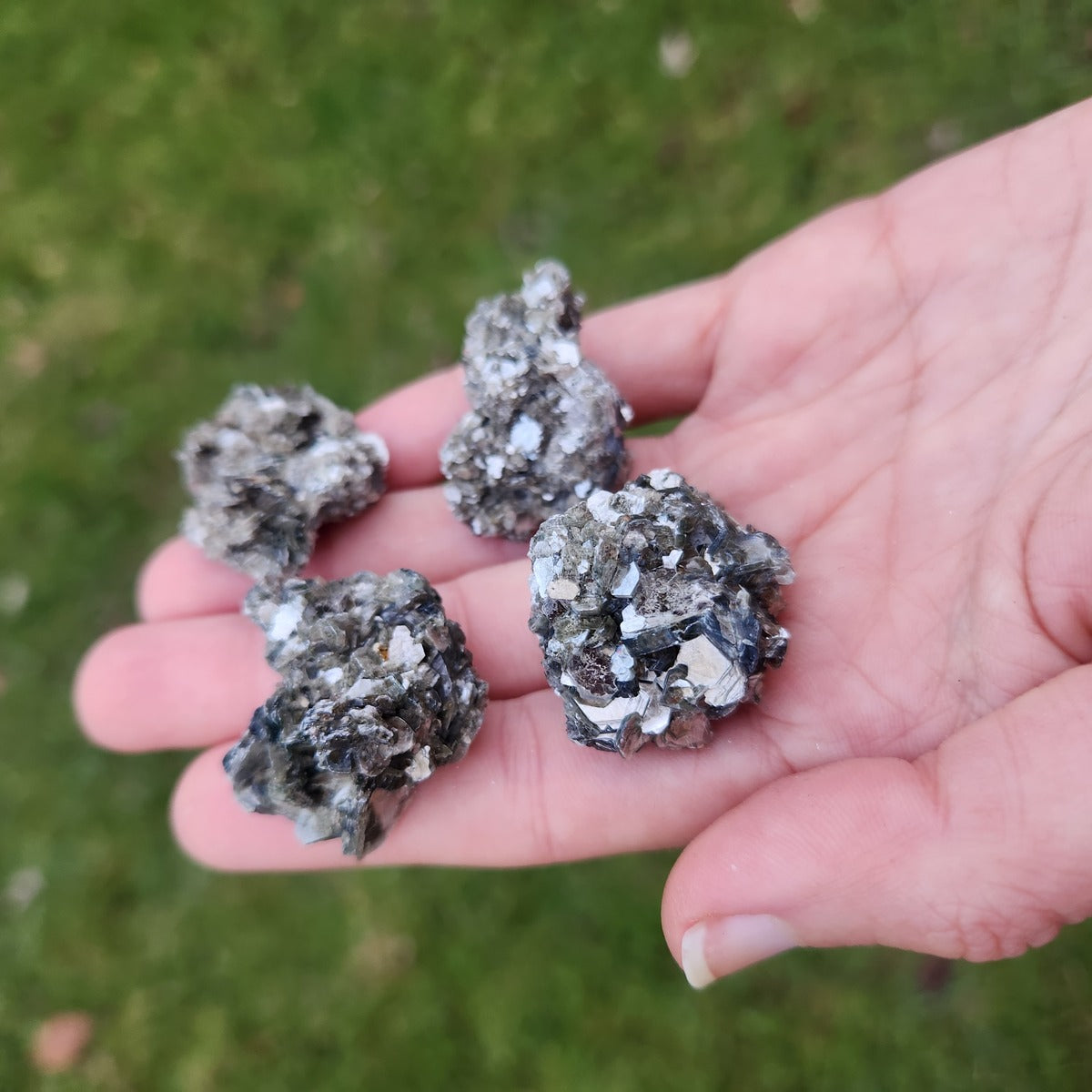 Chromium Mica Muscovite 1.25"