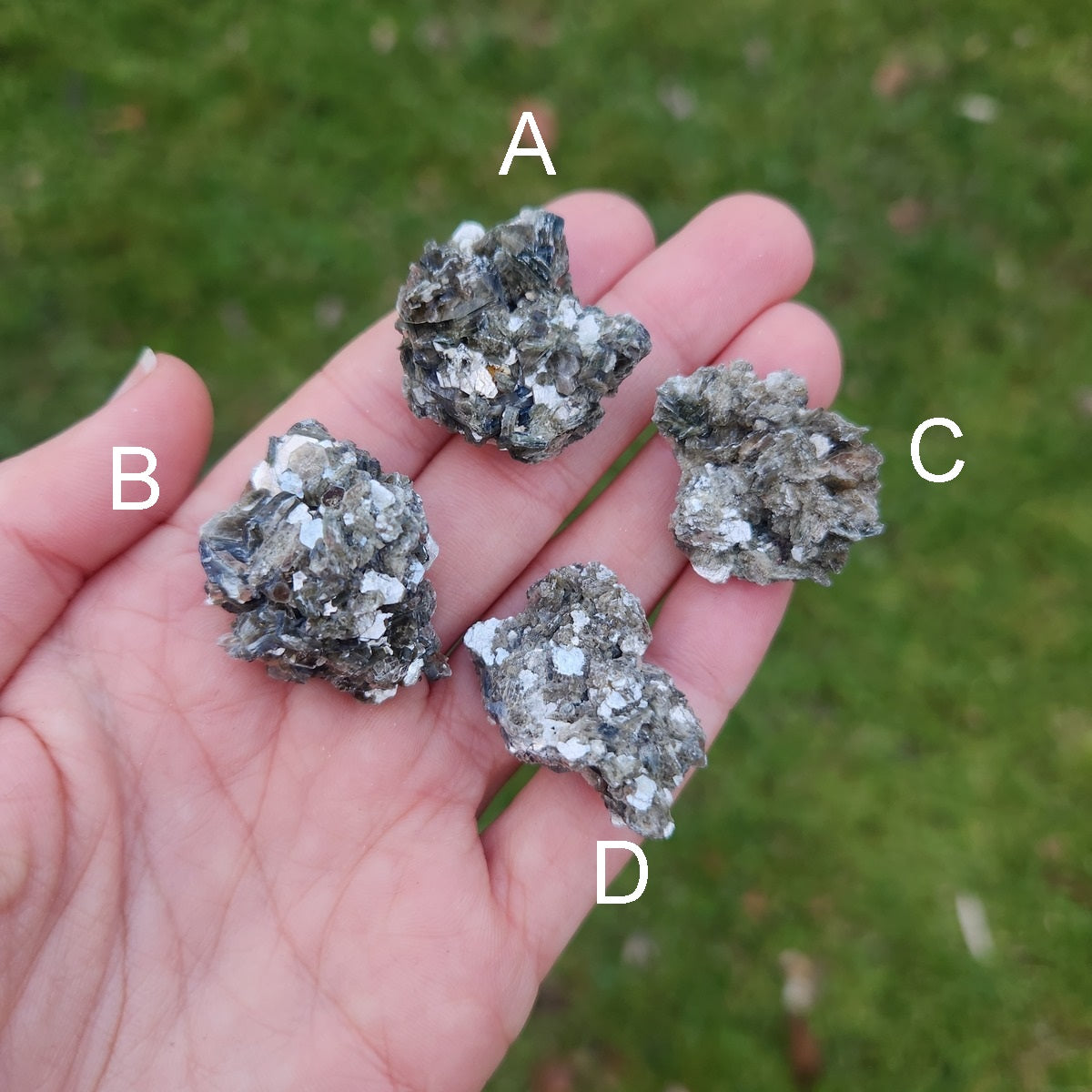 Chromium Mica Muscovite 1.25"