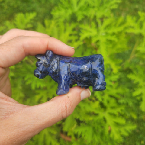 Crystal Cow Stone Carving in Blue Sodalite