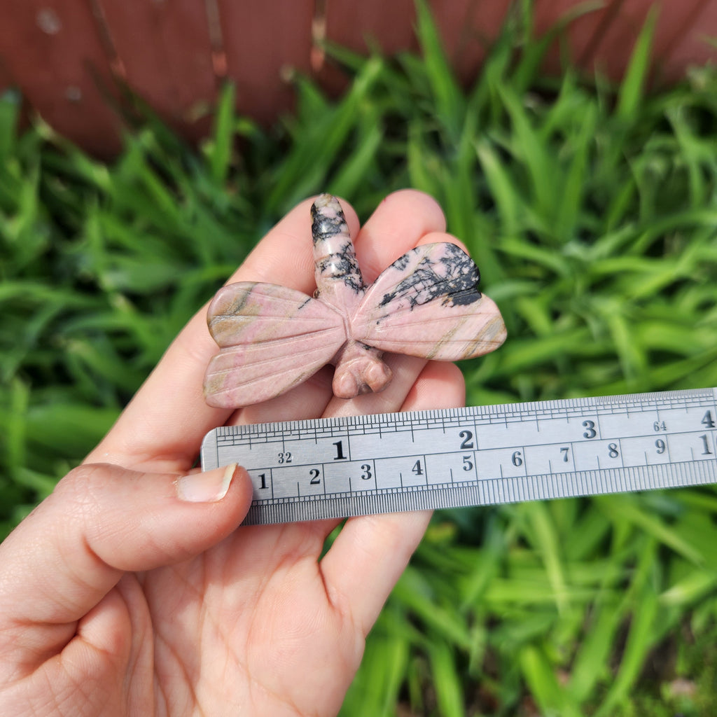 Carved Stone Dragonfly Crystal Figurine 2.25" Animal Totem