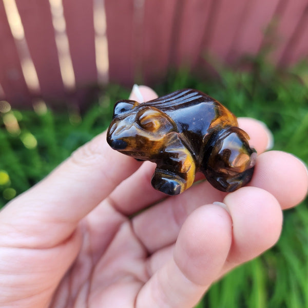 Carved Crystal Frog in Tigers Eye Stone