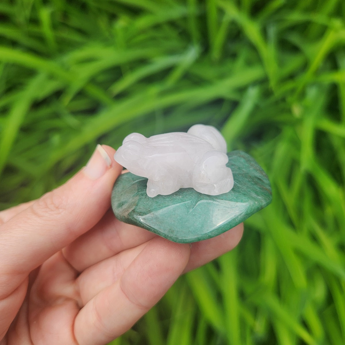 Crystal Frog on Lily Pad