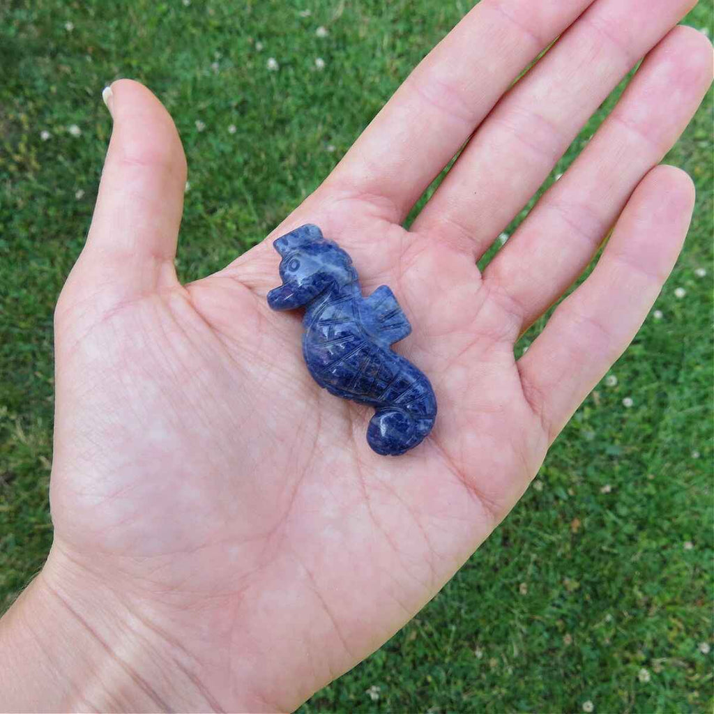Crystal Seahorse Stone Animal Carving 1.75"