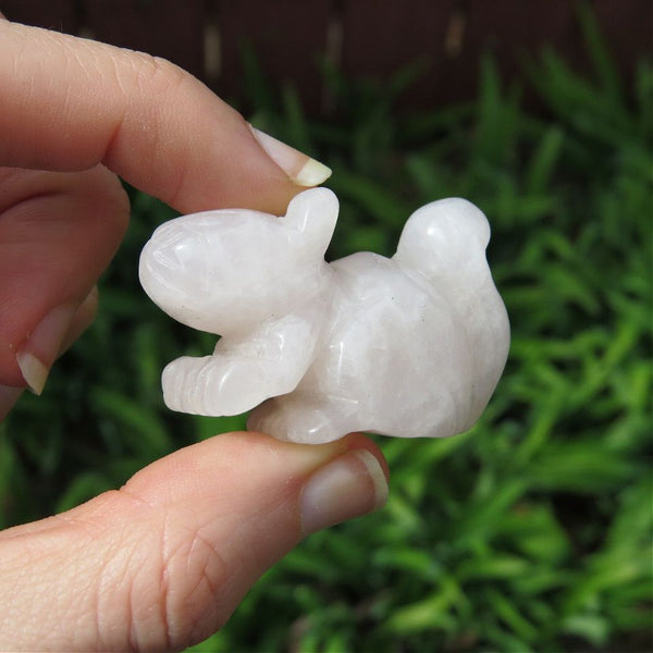 Crystal Squirrel Stone Animal Carving 1.75"