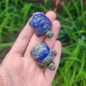 Crystal Turtle Stone Carvings