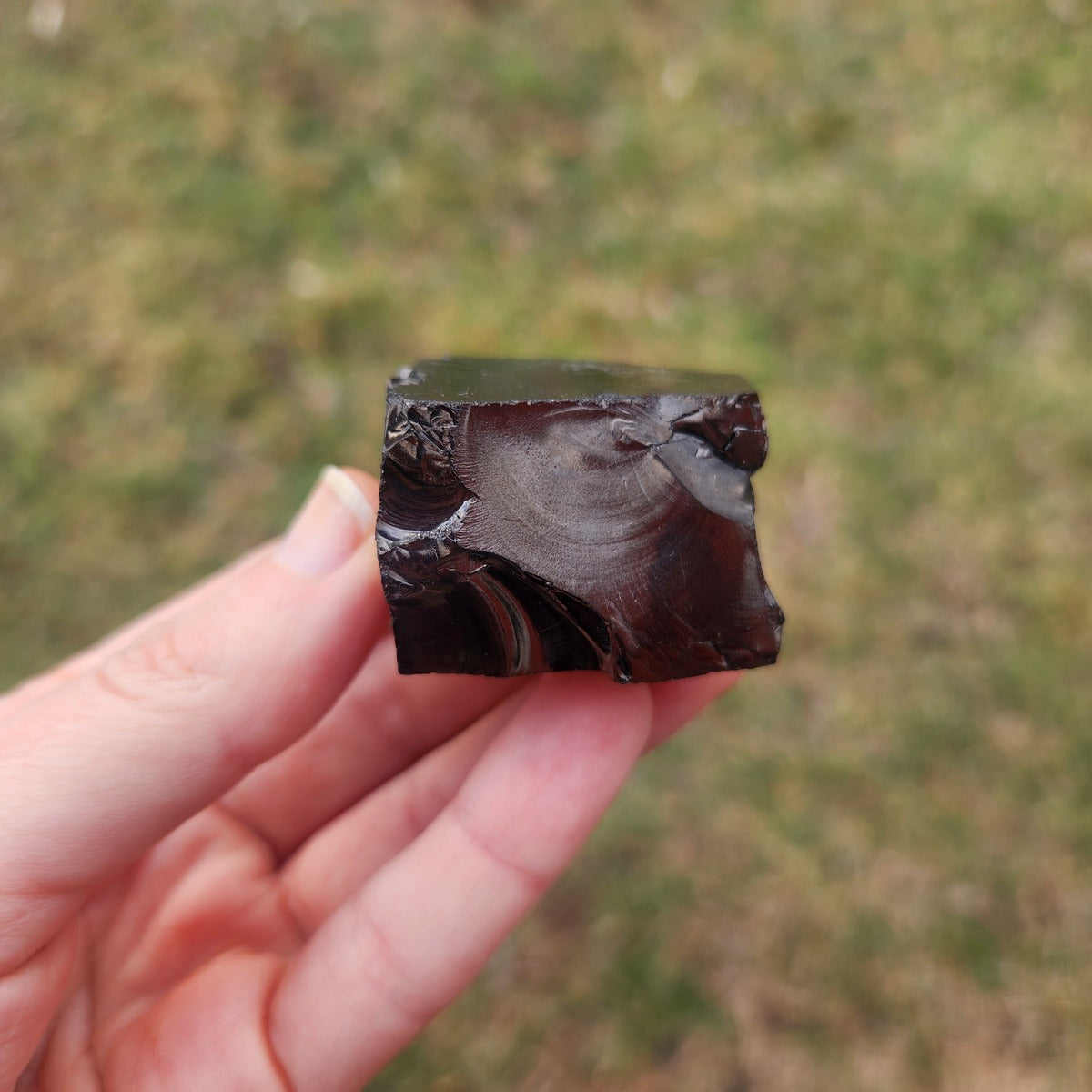 Raw Shungite Stone