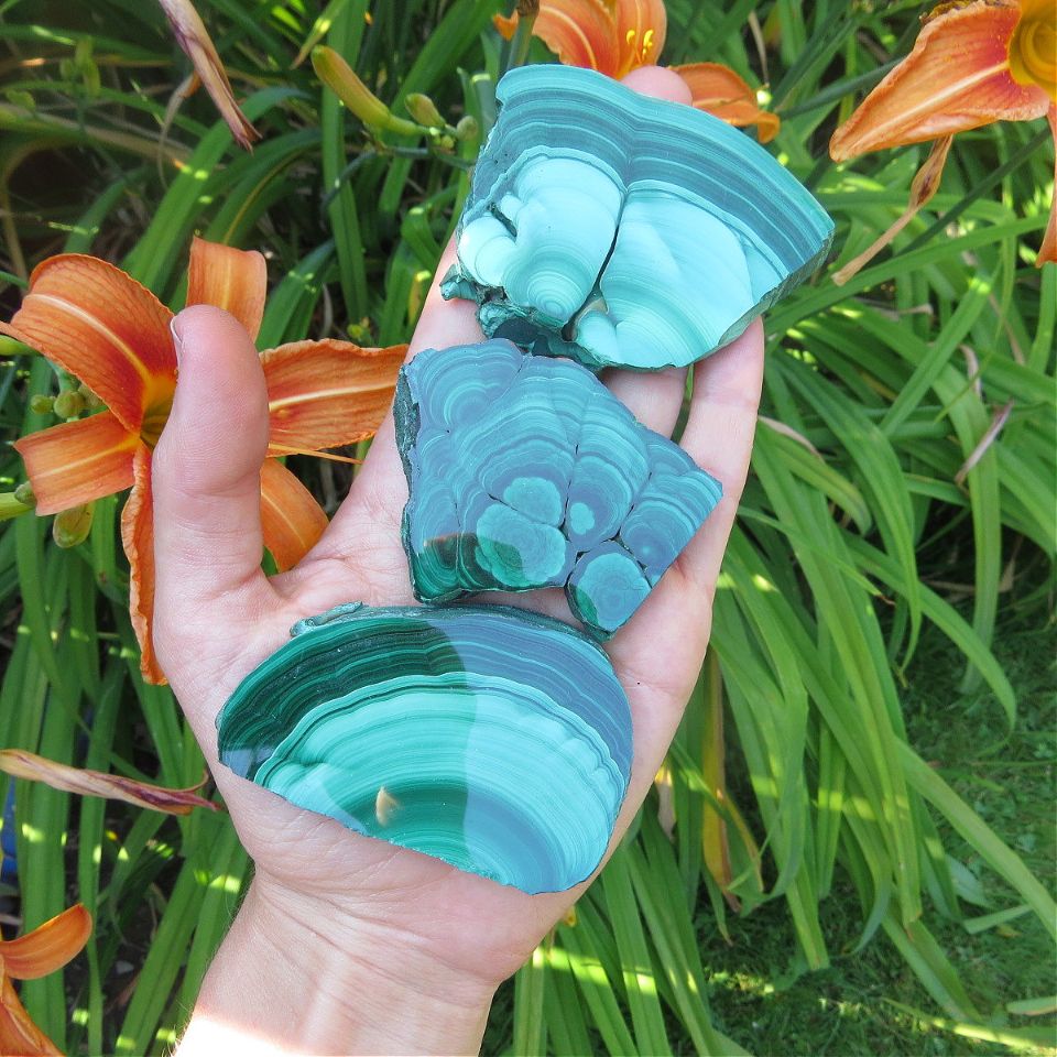 Malachite Crystal Slice 2.5" | Natural Malachite Slab