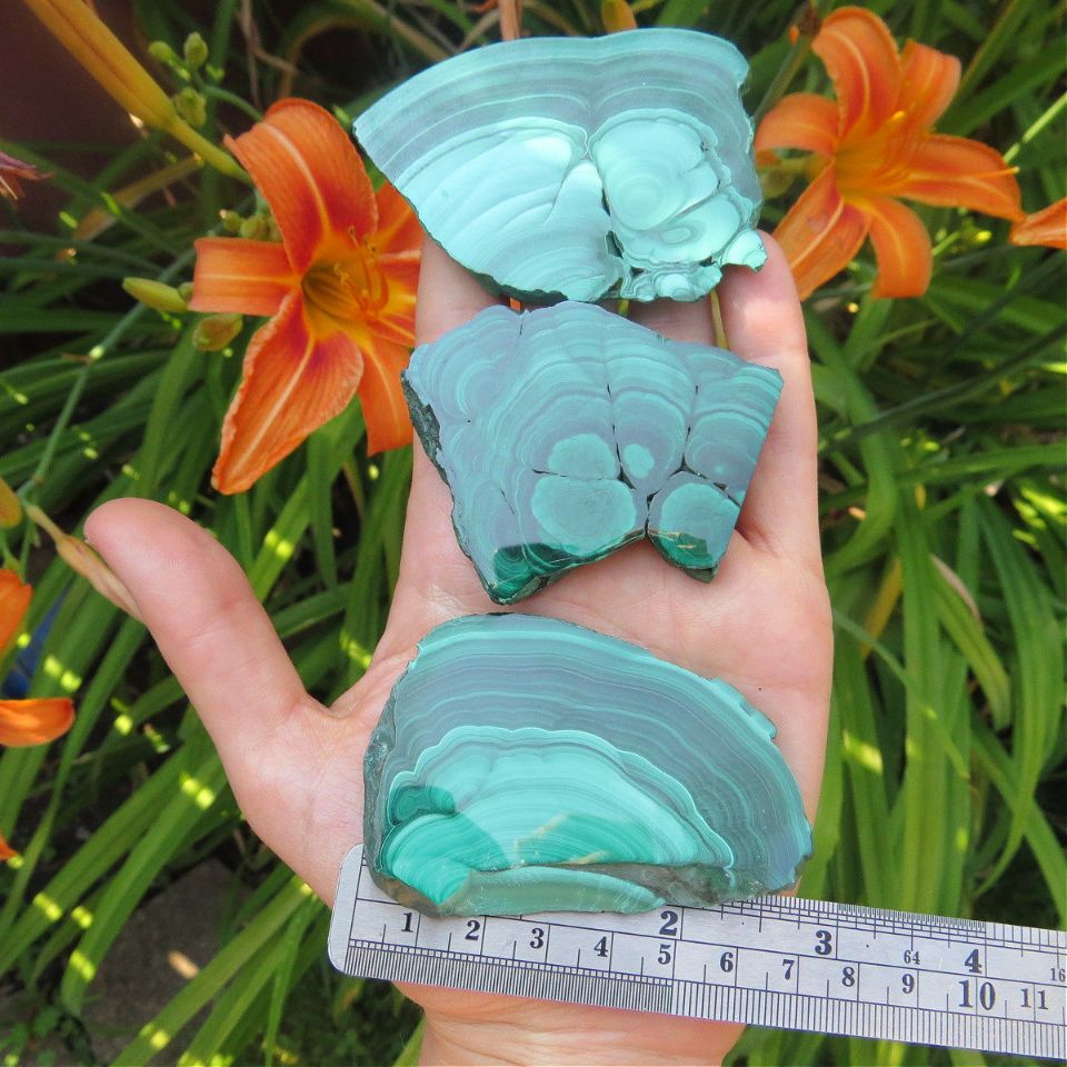 Malachite Crystal Slice 2.5" | Natural Malachite Slab