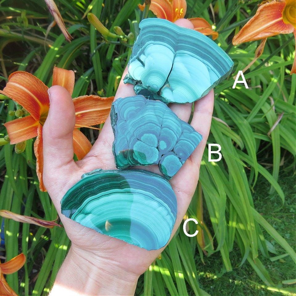 Malachite Crystal Slice 2.5" | Natural Malachite Slab