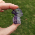 Crystal Pood le Dog Animal Carving in Rainbow Fluorite Stone