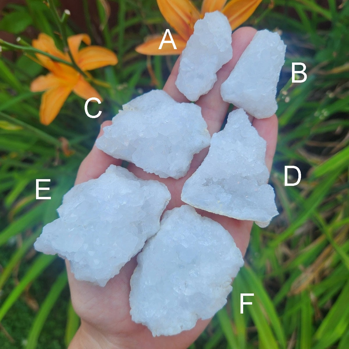 White Druzy Quartz Geode Stone | Cracked Crystal Geode