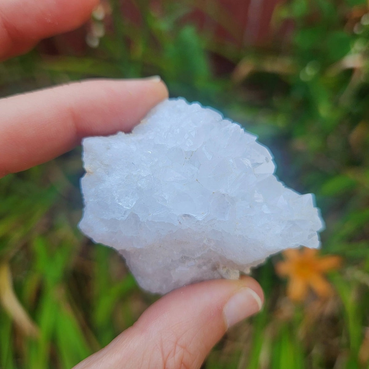 Quartz Geode Crystal
