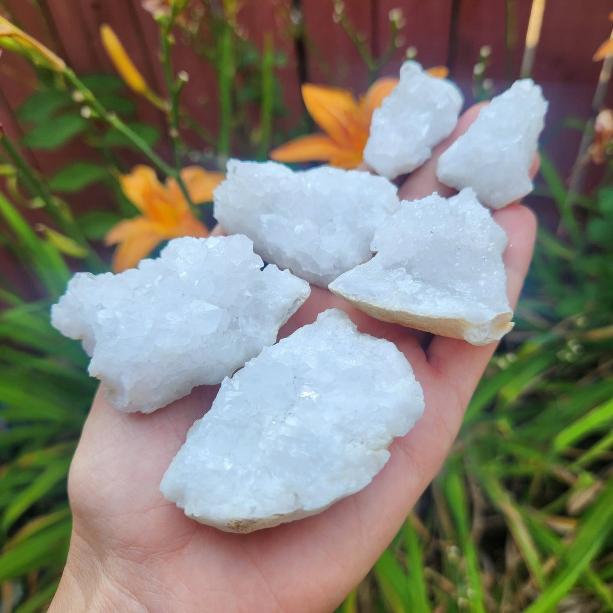 Quartz Crystal Geode Cracked Open Stones