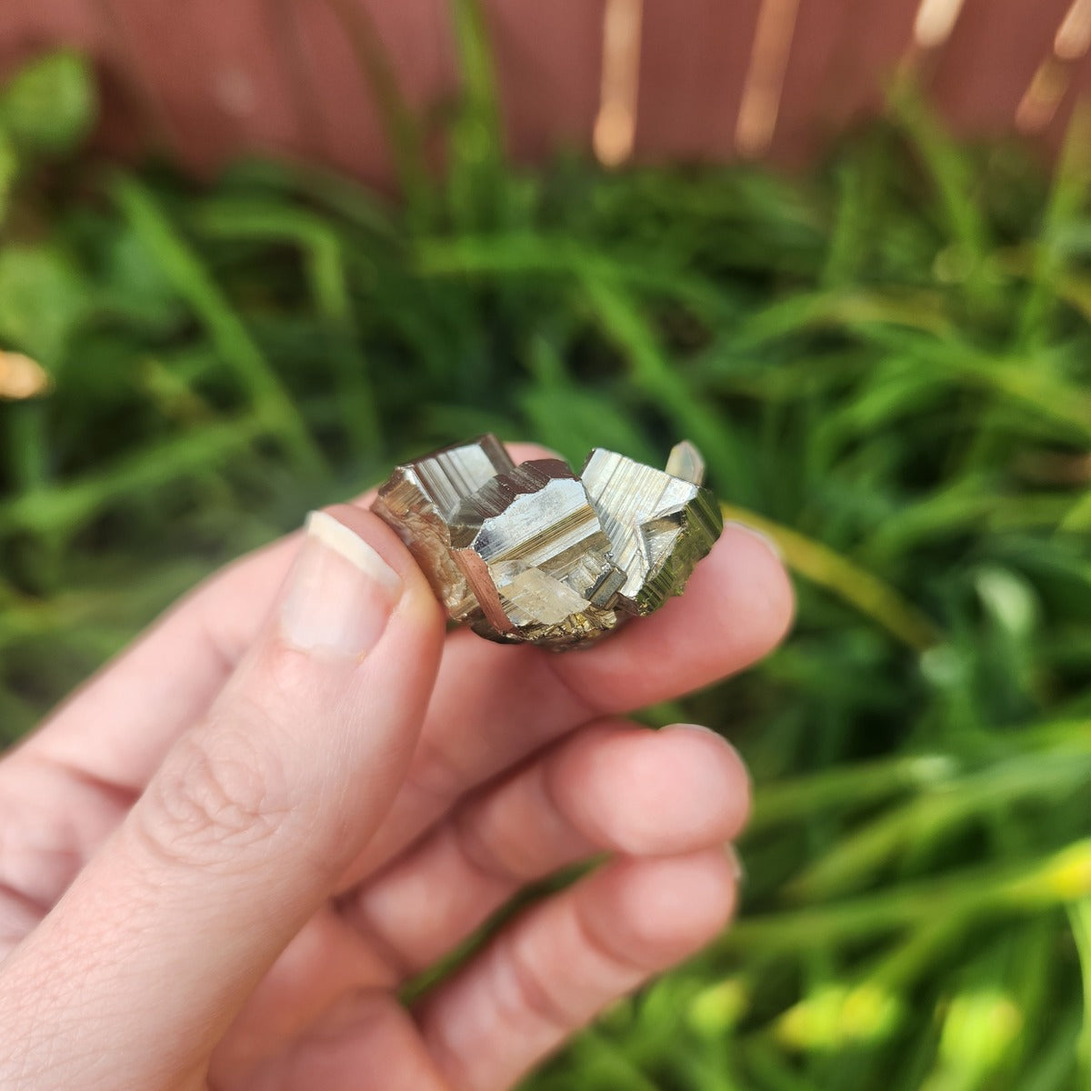 Raw Pyrite Crystal Chunk w/ Quartz 1.25" | Cubic Pyrite | Fools Gold Stone