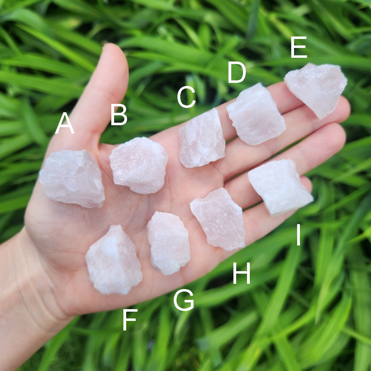 Raw Rose Quartz Stone 1" Small | Heart Chakra Crystal for Love