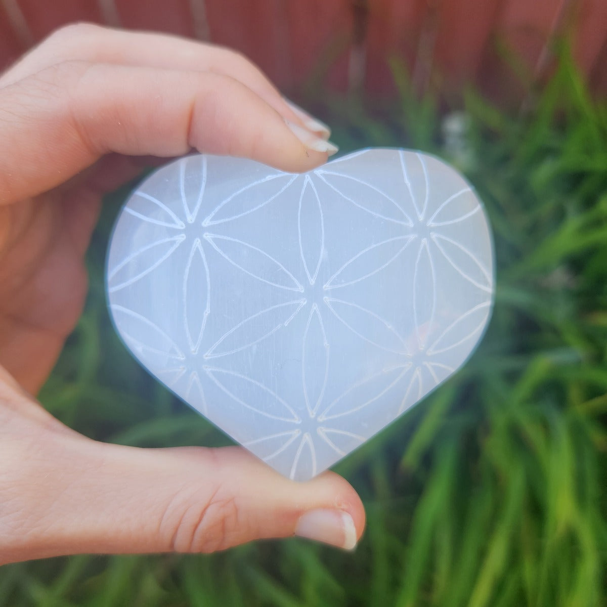 Selenite Crystal Heart Flower of Life Etched Stone