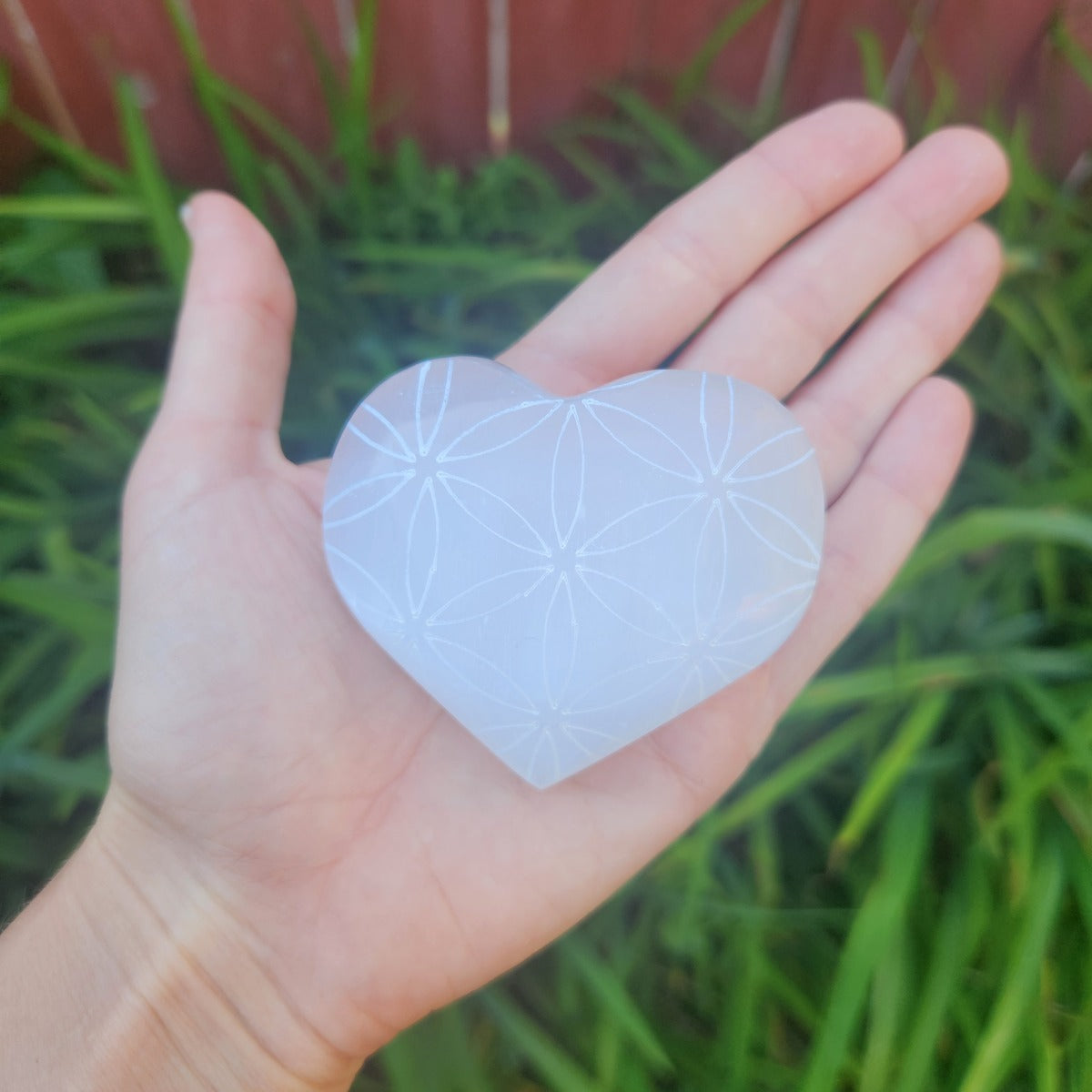 Selenite Crystal Heart Flower of Life Etching