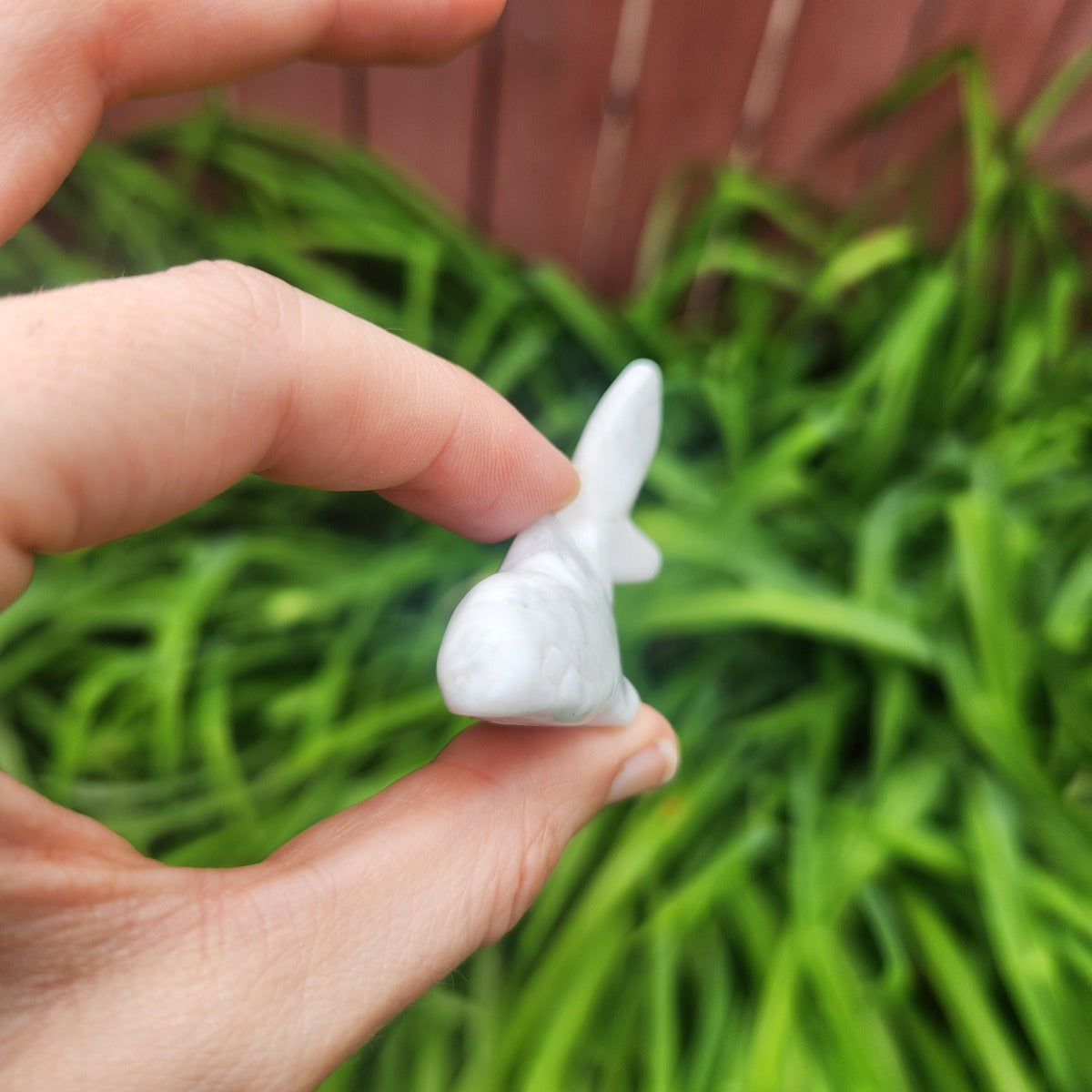 White Howlite Shark Stone Animal Carving 2"