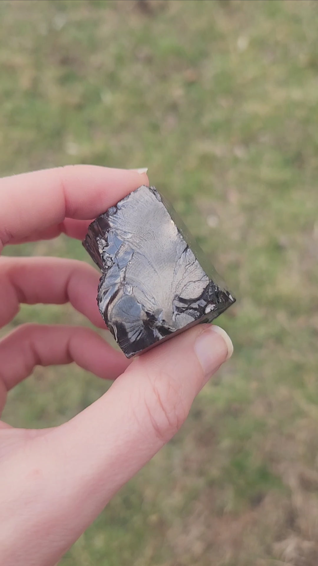 Raw Elite Noble Shungite Crystal