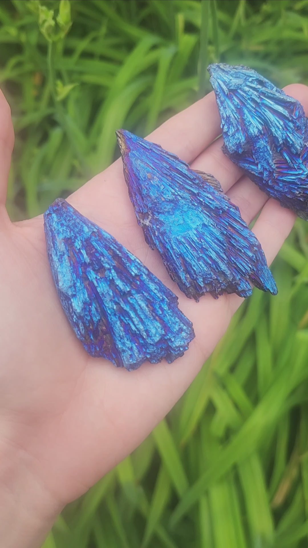 Blue Rainbow Aura Kyanite Blades
