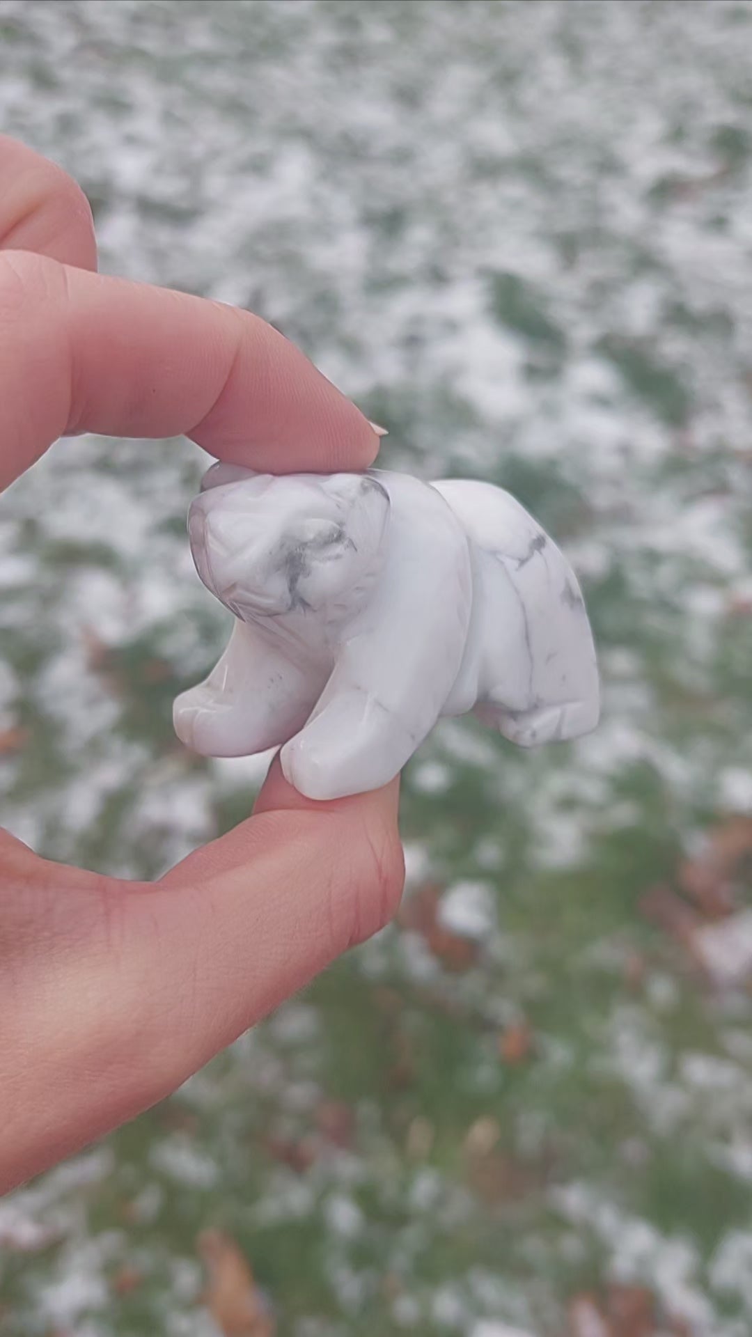 Howlite Crystal Polar Bear Animal Carving Figurine