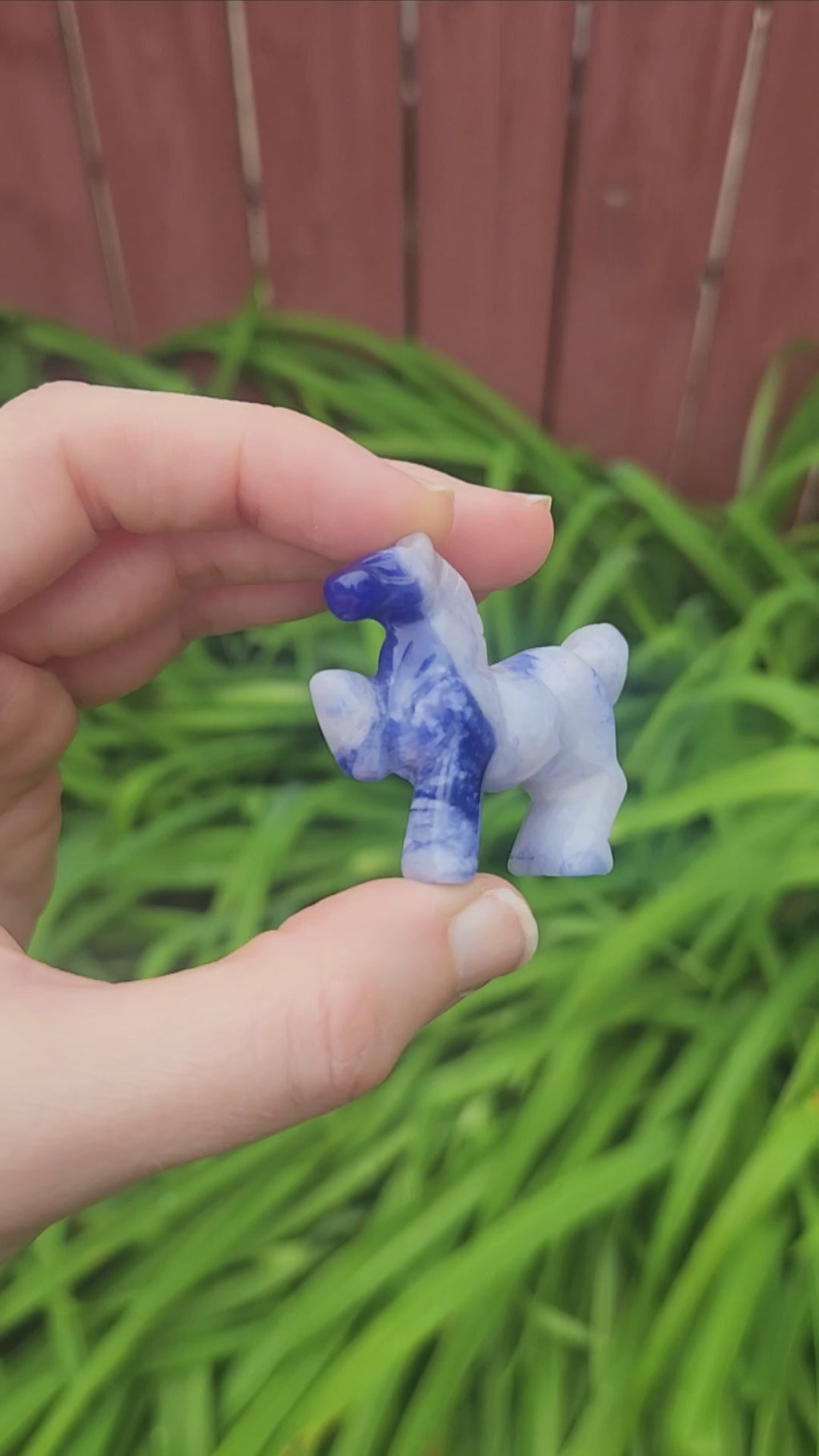 Blue Sodalite Stone Horse Crystal Animal Totem